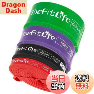 【送料無料】TheFitLife トレーニングチューブ 筋トレチューブ 懸垂チューブ (赤/黒/紫/緑)