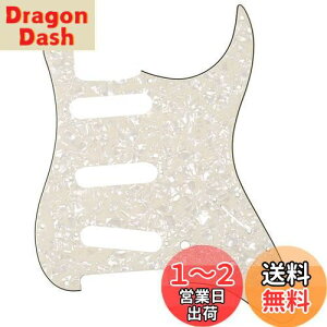 yzMusiclily 11 SSS XggsbNK[hFender USA/LVRX^_[hSTXggLX^[GLM^[pA4Pp[`gp[