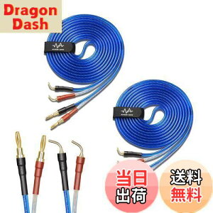 yzyoinz 2{1g LRZbg yoiivOHρz by yWYVERN AUDIOz 24kbL vO Xs[J[ P[u in_ς By WYVERN AUDIO (oiivO̐jvO / 