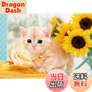 yzG|bN 108s[X WO\[pY /ybg ˂ ˂̂Ȃ₷ (18.2×25.7cm) 01-057 ̂t wt _t EPOCH