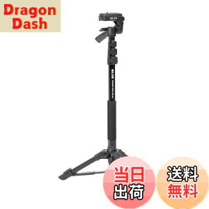 yzSLIK rȈՎOr X^h|bhGX-N 4io[bN 3EFC_ NCbNV[ 217122 ubN