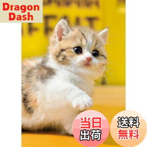 yzG|bN 108s[X WO\[pY /ybg ˂ ! (18.2×25.7cm) 01-067 ̂t wt _t EPOCH