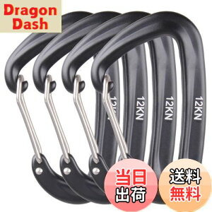 yzAzarxis bNJri ω׏d 12KN(1200kg) oRt A~ Jri DO bLO L[O Eh~ y @\ nbN Lv AEghA