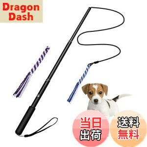 yzpފƂ [v   hM[} Pp p ފƌ^ OߐLkł 2pt 3`5Jɔzς