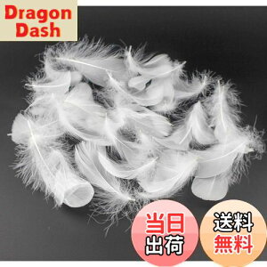 yzKingsie VR H 100Zbg tFU[V[ HV[ |f  EGfBO o (zCg)