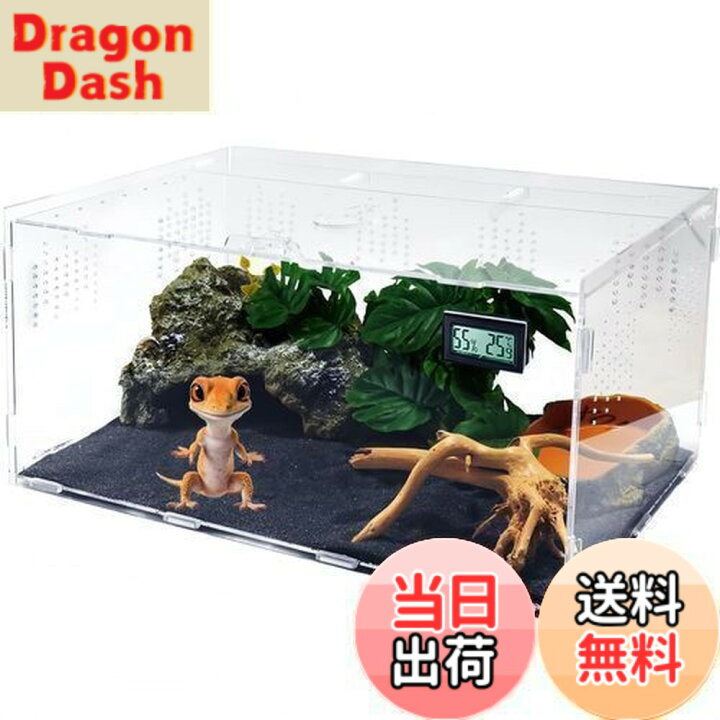 楽天市場】【送料無料】Niesporek 爬虫類 トカゲ ケージ カナヘビ飼育 