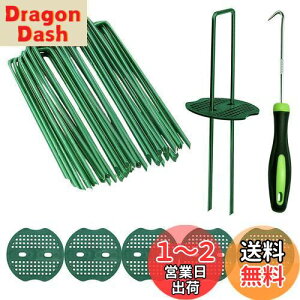 yzusY Ίەt 50{Zbg Niesporek 15cm hV[g Œp lH s ϋvU^s }`15cmtbN^_Ɨplbgi50{s+50Ίہj