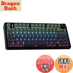yzEPOMAKER x Aula F75 Q[~OL[{[h KXPbg JjJL[{[h 5wpbhmut 75% CX zbgXbpu Bluetooth/2.4GHz/USB-C RGB ZKF؎擾 (Black Gradient, 