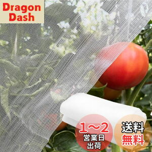 yzPhyxiul hlbg hlbg |plbg Q΍ hhb  ؍͔| ƒ؉    ʋC lbg F (2.5m×3m)