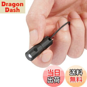 【送料無料】KeyUnity KF00BK ミニライト キーホルダー 小型懐中電灯 キーホルダーライト 超小型LED 防水 チタン合金製 超軽量 3個のボタン型電池対応 IPX8防水 実用点灯12時間 edc懐中電灯 10g (PVDブ