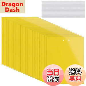 yzKALOLINNA  SV[g  QߊlS ʔS h S ȒPt Q ߒ h nG 쏜 ߊl K[fjO _ ͔| ƒ؉ CG[ (20×10cm,20)