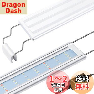 yzFEDOURtXyNgƖLEDCgF^C}[t 30cm40cm60cm̍PxCgALk\ȃuPbgtA琬/ANAEƖpvAFvX`bNP[