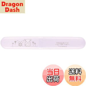 yzXP[^[(Skater) uVP[X TI N~ CfUC TBC2-A