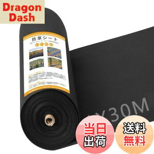 yzGreenGarden hV[g 1×30m 120g/ V[g sDz Œs50{ƍ50t   UVόܔz eܓ ϋv x ubN (ubN1*30m)