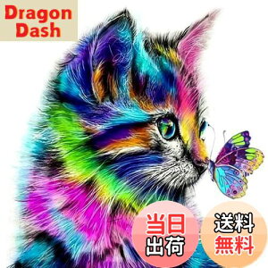 yz5d_ChA[g Lƒ 5D _Chh UCNA[g _ChyCeBO Lbg r[YG Sʓ\t^Cv r[YA[g UCNr[Y |pi 