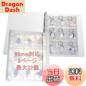 【送料無料】キーホルダー 収納ファイル 65mm キーホルダーカバー 最大72枚収納可能 大容量 落下防止フタ付き 透明度 耐久性