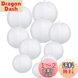 yzLIHAO   傤  y[p[^ 10 TCY ~  ~ čՂ V~ ~ Cxg t  ی^ n  zCg