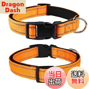 yzTHAIN   ^A^p ybgpi ˍޗ iC ʋC e͐ _炩 ߉\ (M, IW)