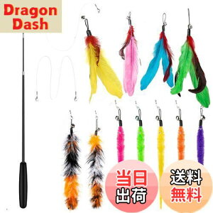 yz14 _Zbg L ColiChili L炵 VR Ĥ pH11 _t pނ莅2 ԂԂ ybgObY ˂pi