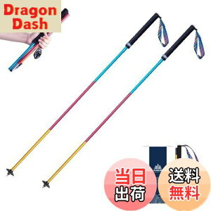 yzTRIWONDER gCjOp|[ 2{Zbg ܂肽ݎ y g|[ gbLO|[ oRXgbN EH[LO|[ mfBbNEH[LO (J