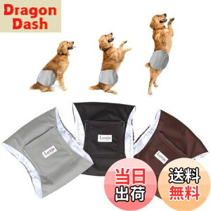 yzLuxja p}i[xg j̎q bV h Lk 3_Zbg }[LO R炵 IVbR΍ o  p(L,+O[+R[q[F)