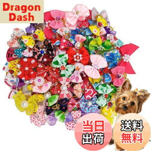 yzKingsie p{ wAoh 20_Zbg ybgp Jt  wAS wAANZT[  A\[g