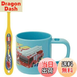 yzXP[^[ (skater) uVZbg uV Zbg X^ht Rbv 3-5ˉp g~J 19 180ml 14.5cm KTB5