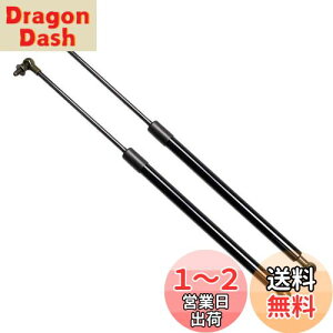 yzXIANGSHANG (10kg) XJCC GT-R BNR34 R34 ^AECOt A_p[ AQ[g_p[ obNhA_p[ Anb`_p[ gN_p[ ԌΉ