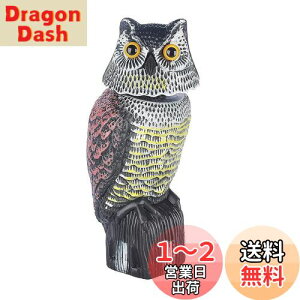 yz悯tNEAtNE̒uԎ蓮phwbhA 悯 Q΍ ӂ낤 JX悯 U ɗh360x x_ ̑lY~Ȃǂ̏
