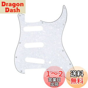 yzMusiclily 11 SSS XggsbNK[hFender USA/LVRX^_[hSTXggLX^[GLM^[pA4PzCgp[