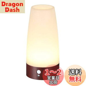 yzLifeholder LED lÃZT[Cg iCgCg Cg ԐڏƖ ؖڒ Ɩ  Ki L dr dFi~`j