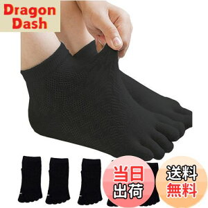 yz[InSomila] [C\~] 5{w\bNX qp ėpC XN[\bNX C bV ̎q j̎q LbY \bNX n 5Zbg  C q  ʊwp \b