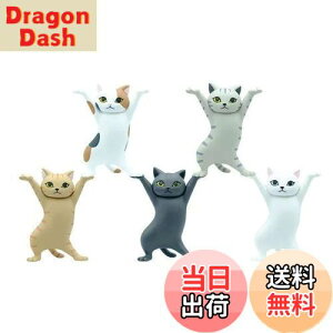 yzMRZJ JKRLyz_[lR̃y S5Zbggyz_[ (5PCS)