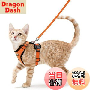 yzRabbitgoo L n[lX [h Zbg Lp ^ ^ Ȃ \tg y グ TCY߉ 锽 ʋCbV Pݖh~ U Lpn[l