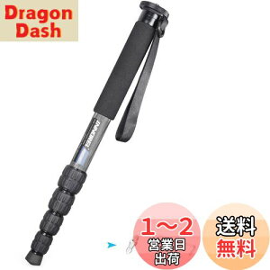yzINNOREL r Jp J[{ 22lbs/10kgω׏d 5ZNVLk\ RpNg ֗ y spiRM285Cj