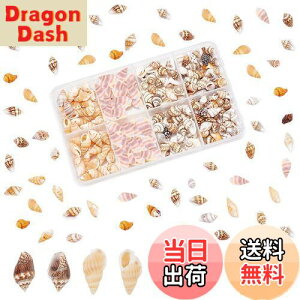 yzPH PandaHall 260 VF Lk Zbg L ~bNX r[`VF fRf r[` ANZT[p[c |pi f   p[eB[  C̓ Ă̑