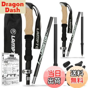 yzLAMPTOP gbLO|[ 2{Zbg oRXgbN A_[Obv ܂肽ݎ y7075A~ 280g 100`120cm߉\ RpNg EH[LO|[ [P[Xti