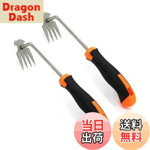 yz蓹   蓹 ܂ G G 2 XeX|  芙  Ƃ蓹 G  G ނ  