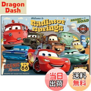 yzXP[^[(Skater) qp W[V[g  STCY 60×90cmTCY fBYj[ J[Y 24 VS1-A