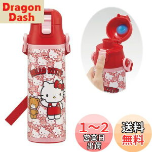 yzXP[^[(Skater) qp XeX   580ml n[LeB 낤 TI qɗDyʃ^Cv ۗp waterbottle X|[c{g 킢LbY q 