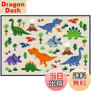 yzXP[^[(Skater) qp W[V[g  STCY 60×90cm fBmTEX VS1-A