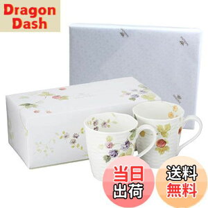 yzNARUMI(i~) yA}OJbv [V[K[f 370cc x[ 2Zbg 킢  [t 傫 j ̓ v[g dqW H@Ή Mtg