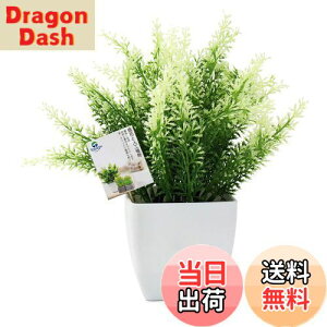 yzTOSSOW lHϗtA  tFCNO[ tFCNϗtA l CeA v[g Ηt