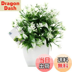 yzTOSSOW lHϗtA  tFCNO[ tFCNϗtA l CeA v[g ΂Ɣt