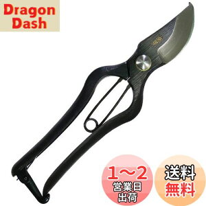 yzߗ^(KONYO) { ł  炩Ȑ؂ƊmȐ؂ꖡ ̂Â̊XuVOsv̏ɂ`Zp 20.5cm
