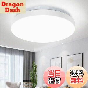 【送料無料】Depuley LEDシーリングライト 4.5畳 6畳 昼光色 薄型 20W おしゃれ 北欧 軽量 5700k~6000k 1200lm 丸型 壁スイッチ 玄関 寝室 部屋 和室 洋室 リモコン無し 簡単取付 工事不要 省エネ 一年保