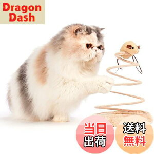 yzL ] lY~ Lpmߋ VԔ TCUʂ V ^s XgX L炵̂ (˂)