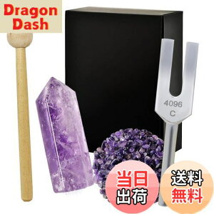 yzNX^`[i[ 4096Hz  VR 򉻗p 5_Zbg bNX {t AWXg WH26 - Purple