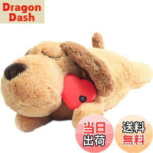 yzDEWU ybgpn[gr[gʂ݁Aqŝ\tgybgg[ʂ݃X[sOofBs⏕sɘa⏕ʂ݃X}[gL