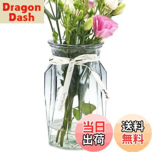 yzOFFIDIX ԕr KX t[x[X  Ԋ k͔| CeA  Cxg  AWg  ItBX z[fR[V Of[V k 